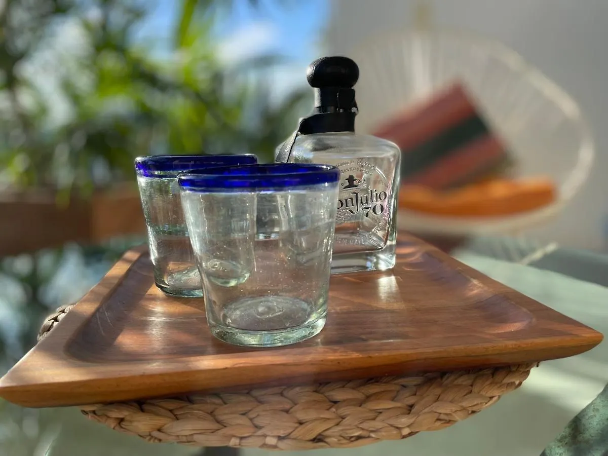 Family Apartments Near Beach Polo88 Playa del Carmen 0*,  Mexico